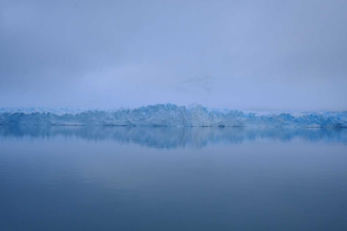 导演之子酒吧消费天价，一个月内幕曝光，学校展开调查